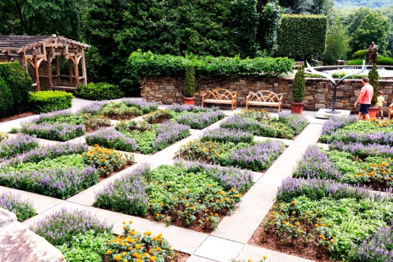 Edible Gardens: Landscaping that can also be eaten