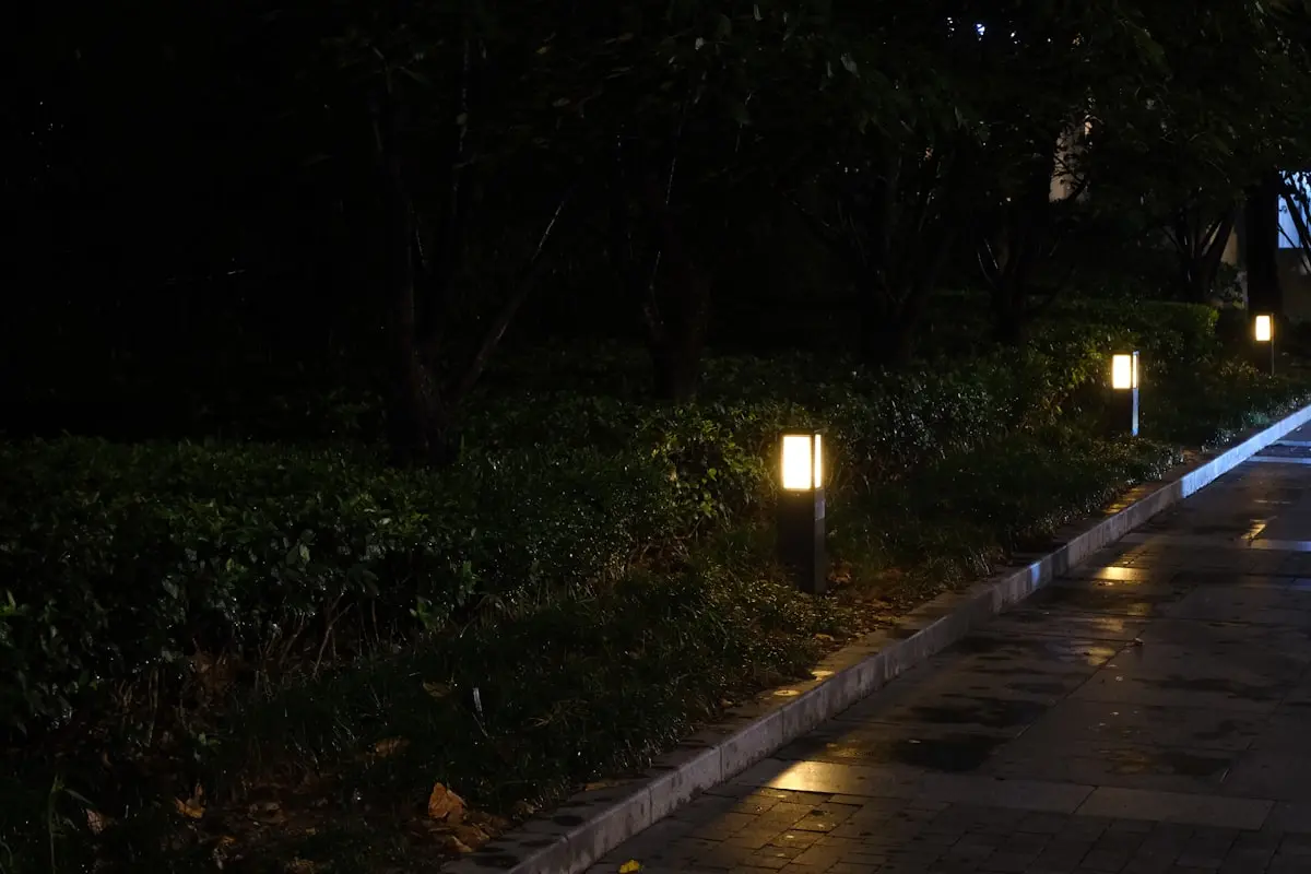 Landscape Lighting: How to make your garden glow at night
