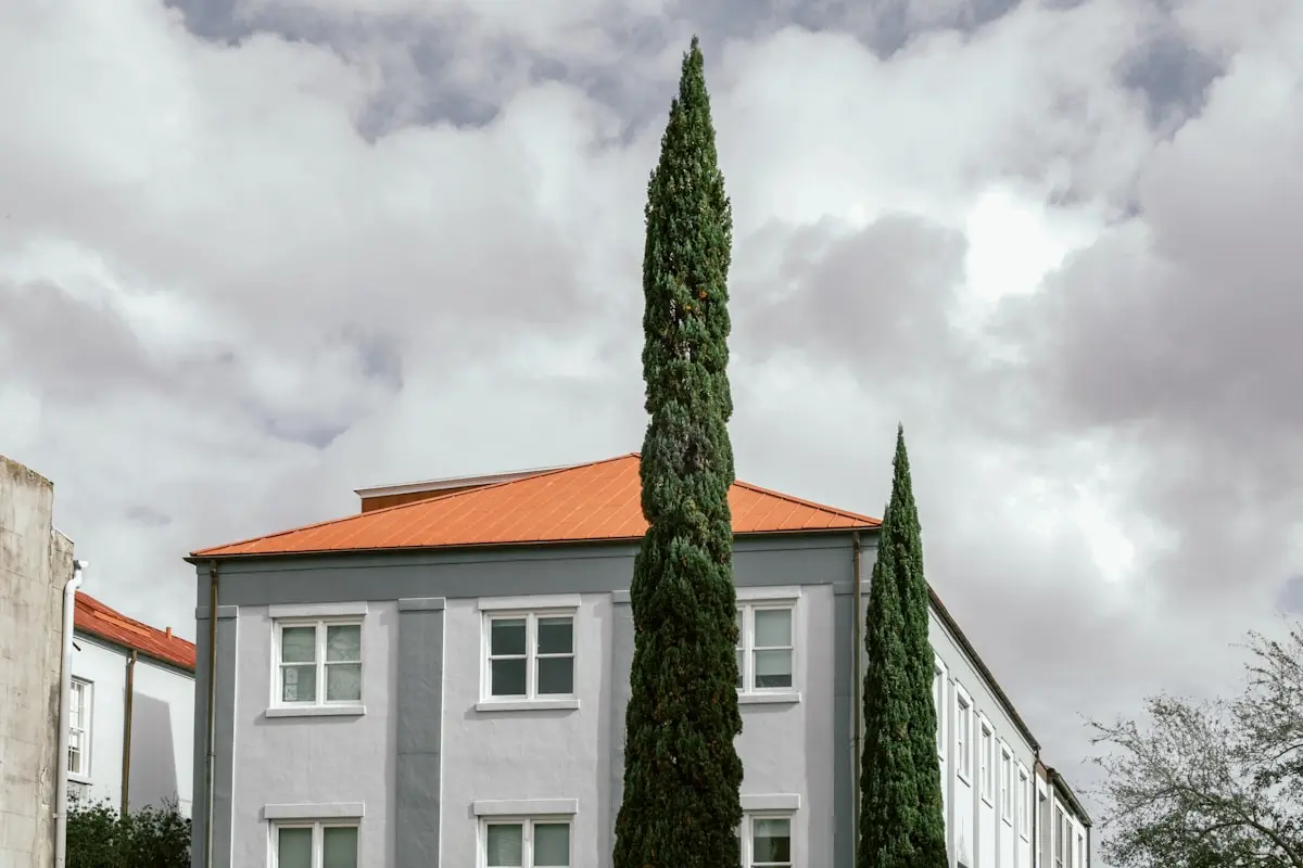 Modern Tudor Home Renovations: Antique Charm Meets Today's Design