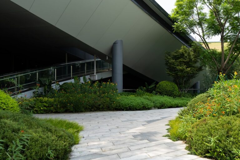 Vertical Gardens: Green spaces when you don’t have space
